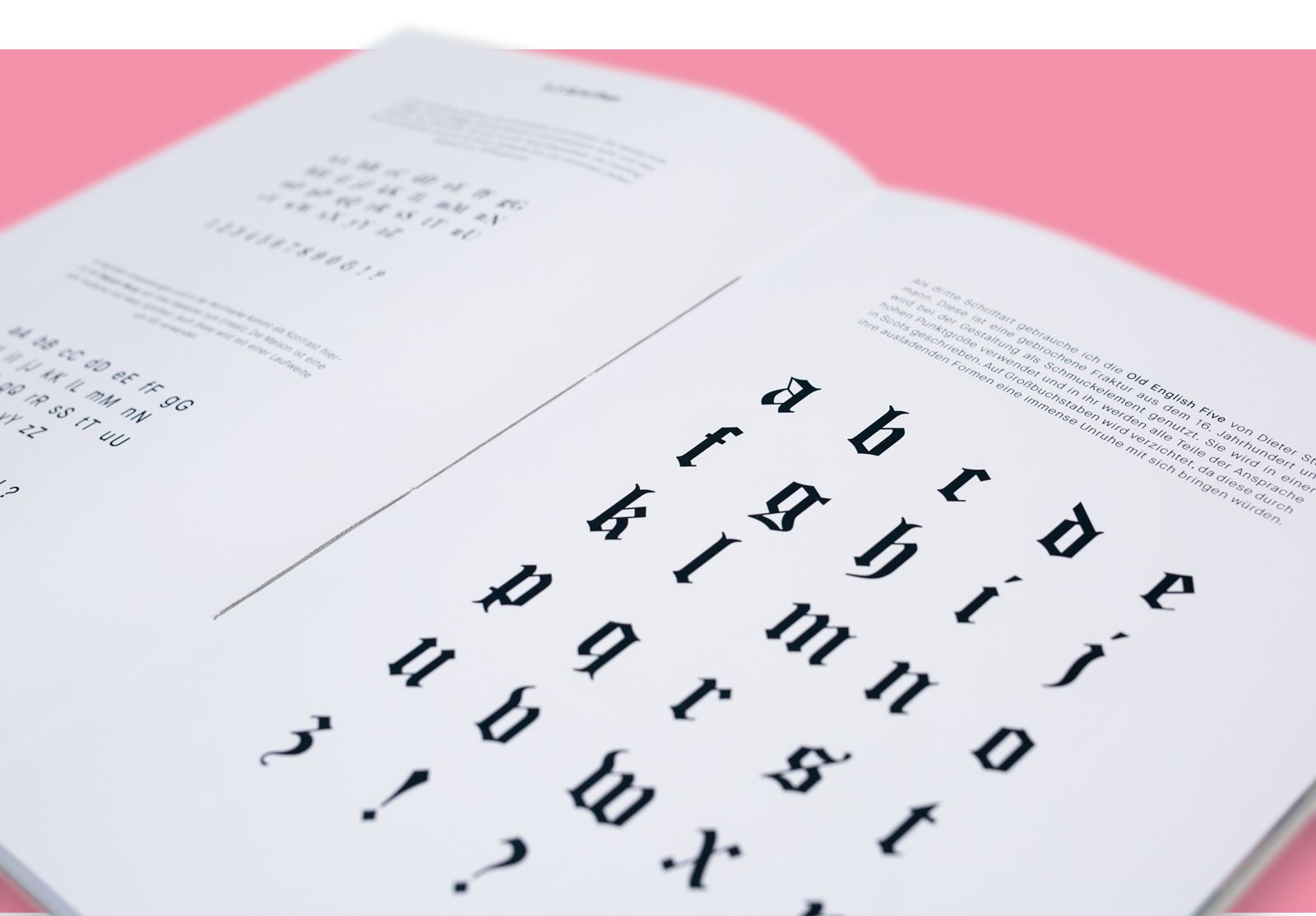 vicky_peucker_thesis3